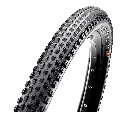 Pneus VTT tout savoir sur les modeles Maxxis Glisse Alpine