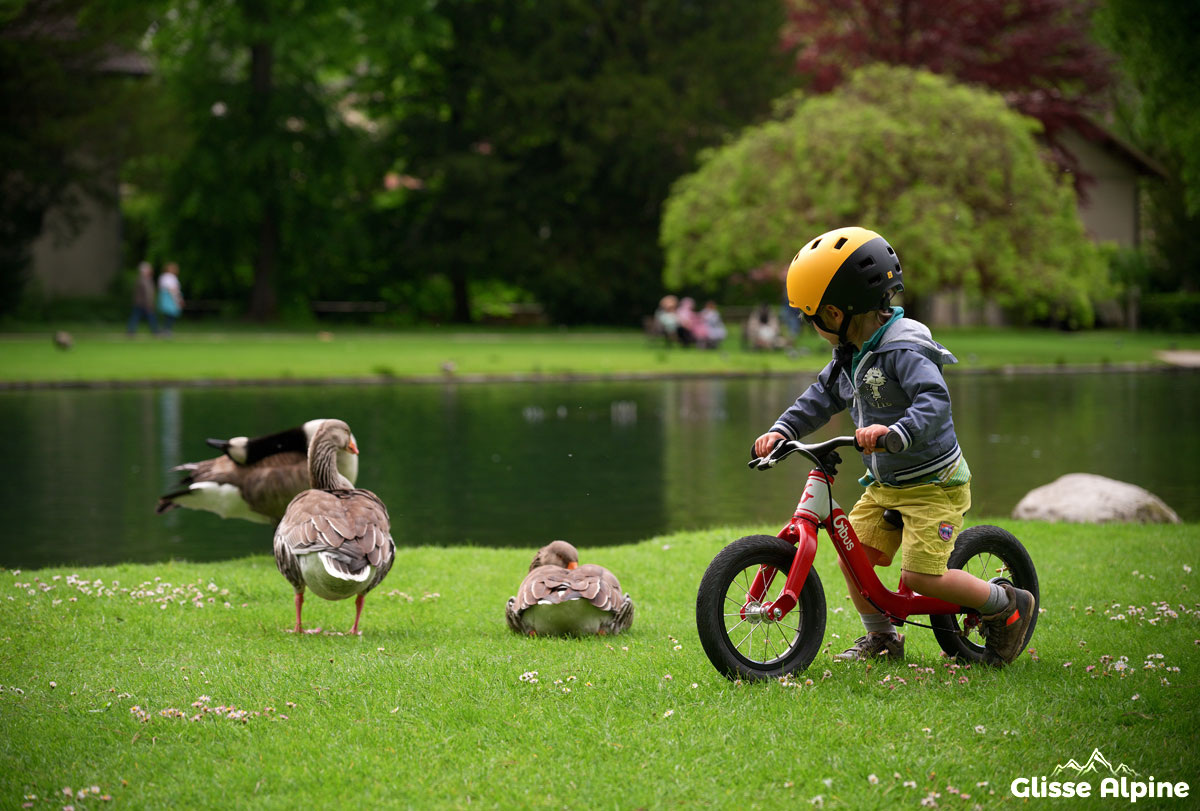 Draisienne Gibus 12"